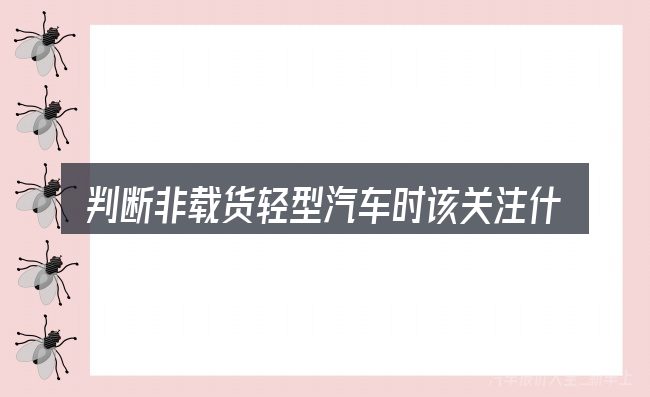 判断非载货轻型汽车时该关注什么