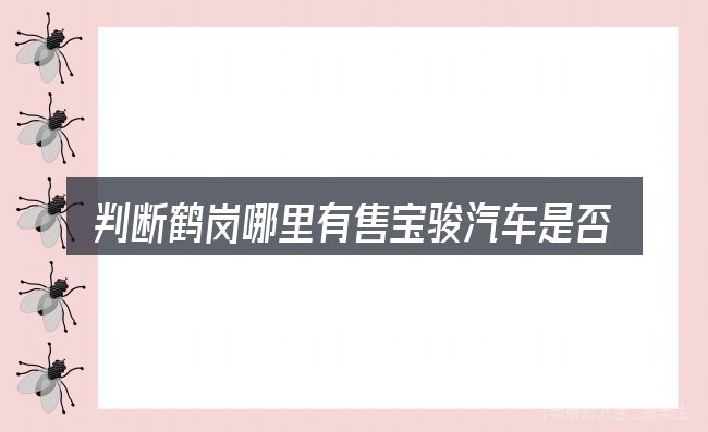 判断鹤岗哪里有售宝骏汽车是否适用的几个信号