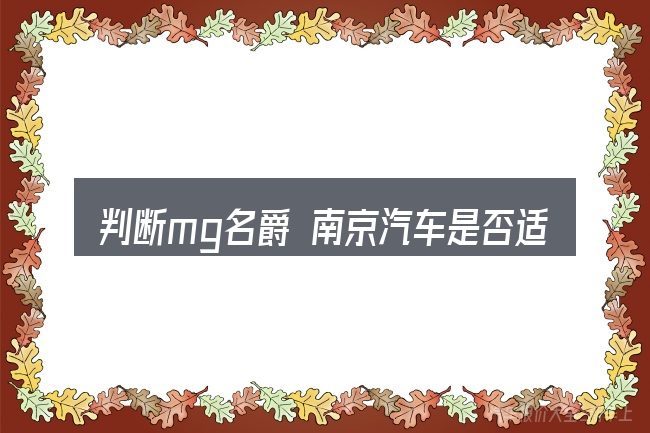 判断mg名爵 南京汽车是否适用的几个信号