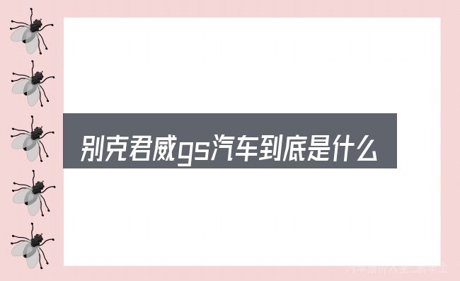 别克君威gs汽车到底是什么