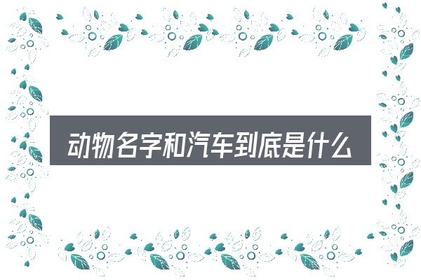 动物名字和汽车到底是什么