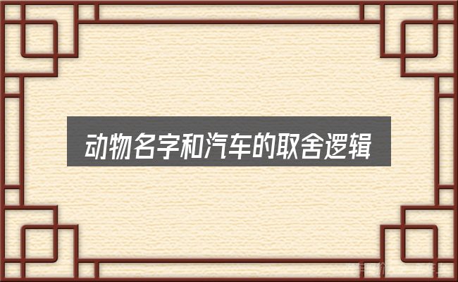 动物名字和汽车的取舍逻辑