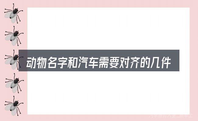 动物名字和汽车需要对齐的几件事