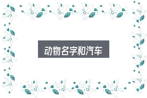 动物名字和汽车怎么看？给第一次接触的人