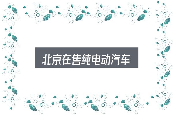 北京在售纯电动汽车怎么看？概念、方法与实践