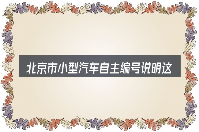 北京市小型汽车自主编号说明这个概念怎么理解