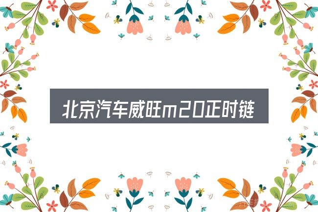 北京汽车威旺m20正时链条怎么对，判断是否适合自己
