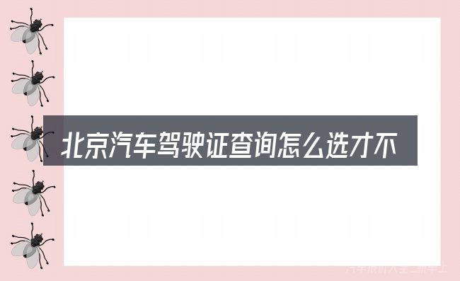 北京汽车驾驶证查询怎么选才不容易出错