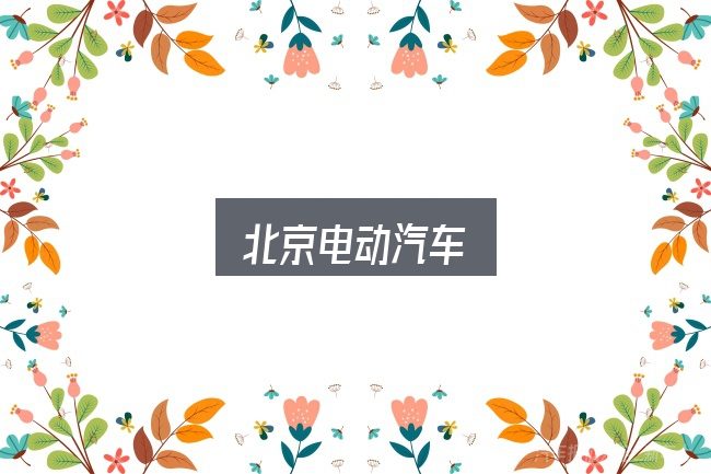 北京电动汽车是什么？实用清单与判断依据