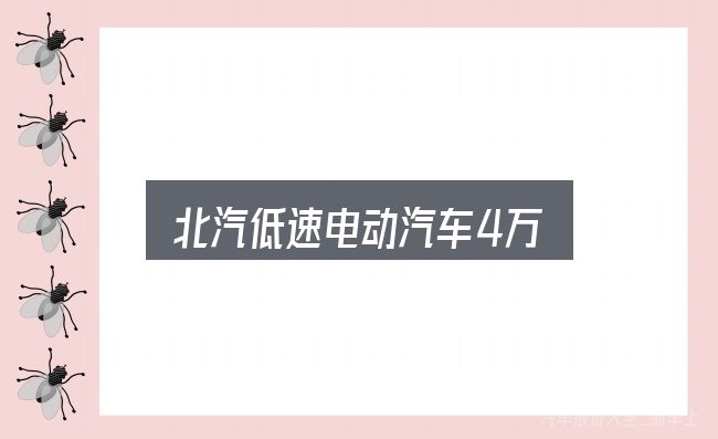 一文讲清北汽低速电动汽车4万：把标准对齐就好办了