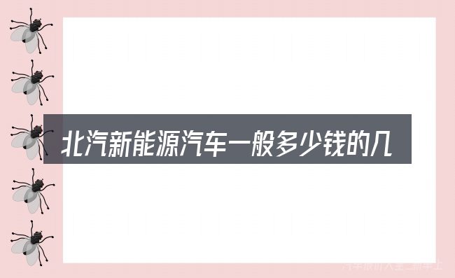 北汽新能源汽车一般多少钱的几个核心要点