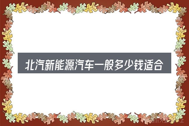 北汽新能源汽车一般多少钱适合哪些场景