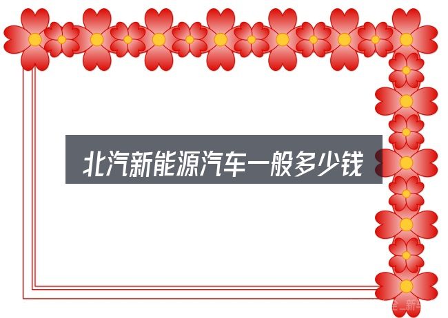 北汽新能源汽车一般多少钱，别被表面信息误导