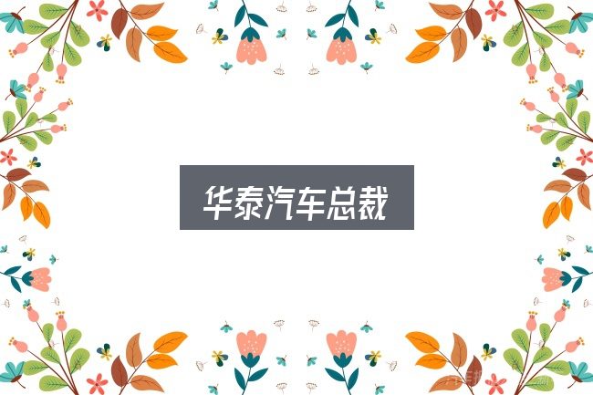 华泰汽车总裁入门笔记：一份务实的参考