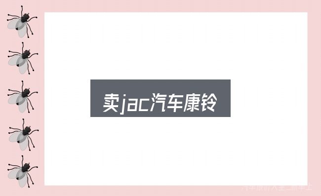 卖jac汽车康铃是什么？一份务实的参考