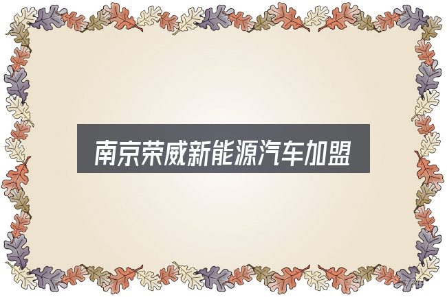 南京荣威新能源汽车加盟全面解析：关键环节逐一拆解