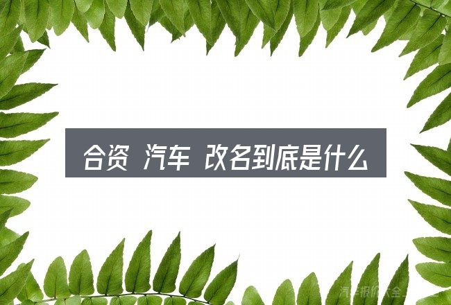 合资 汽车 改名到底是什么