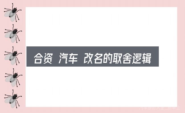 合资 汽车 改名的取舍逻辑