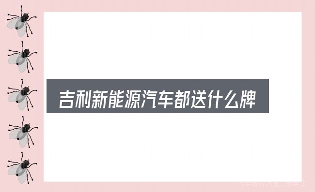 吉利新能源汽车都送什么牌子？从选车到用车的实际经验