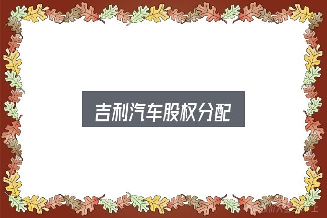 吉利汽车股权分配实用指南：从选车到用车的实际经验