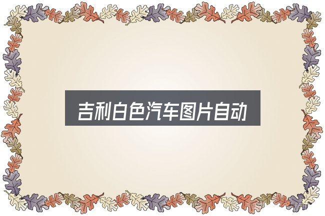 关于吉利白色汽车图片自动，需要关注的几个维度