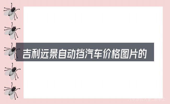 吉利远景自动挡汽车价格图片的取舍逻辑