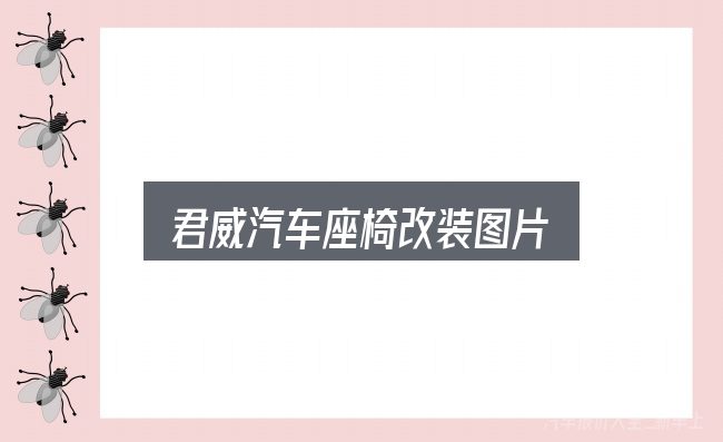君威汽车座椅改装图片实用指南：一份写给新手的说明