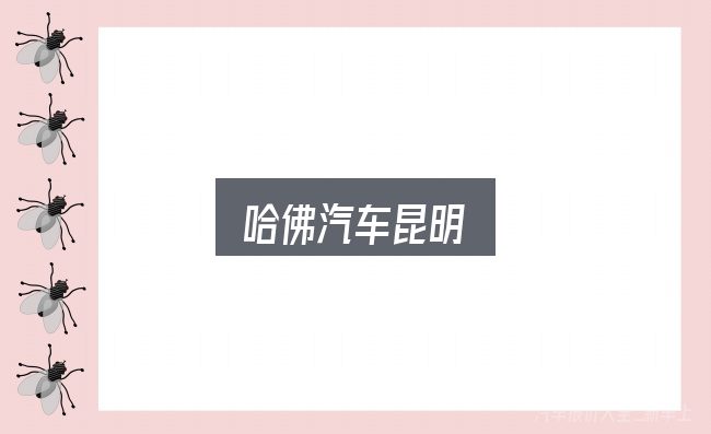 哈佛汽车昆明实用指南：给第一次接触的人