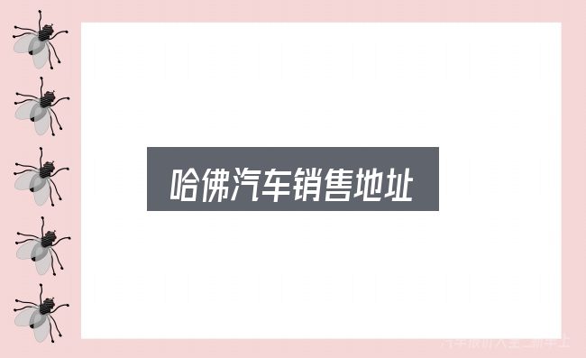 哈佛汽车销售地址怎么选？从选车到用车的实际经验