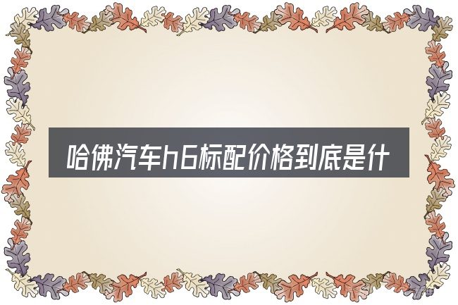 哈佛汽车h6标配价格到底是什么