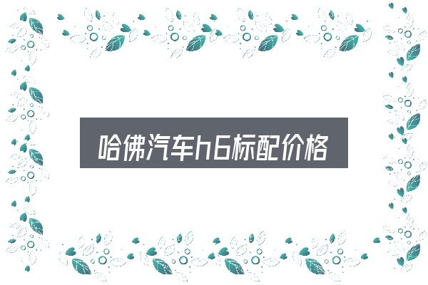 一文讲清哈佛汽车h6标配价格：概念、方法与实践