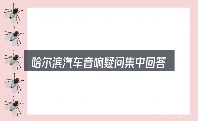 哈尔滨汽车音响疑问集中回答