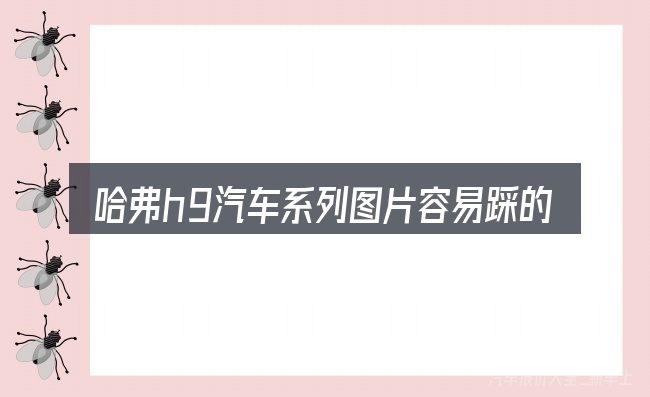 哈弗h9汽车系列图片容易踩的坑
