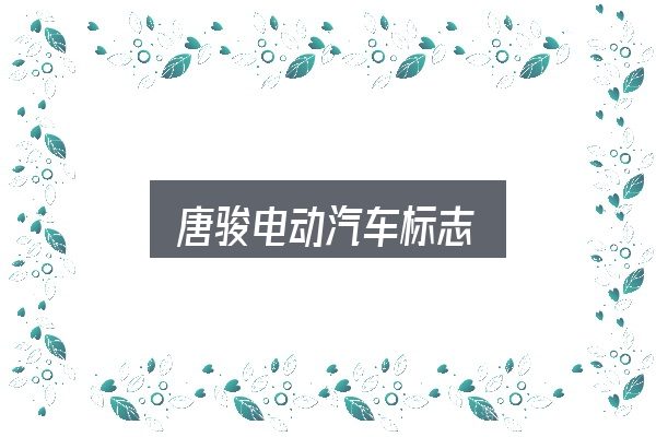 一文讲清唐骏电动汽车标志：别被表面信息误导