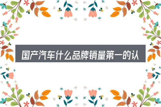 国产汽车什么品牌销量第一的认知误区