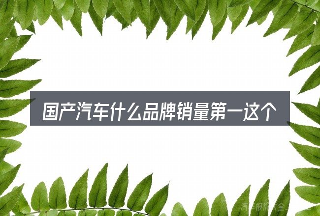 国产汽车什么品牌销量第一这个概念怎么理解
