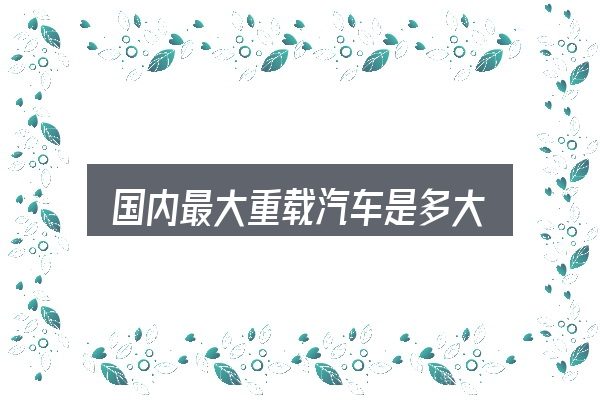 国内最大重载汽车是多大怎么选？从场景出发的理解