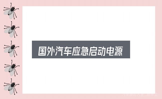 国外汽车应急启动电源实用指南：细节决定体验