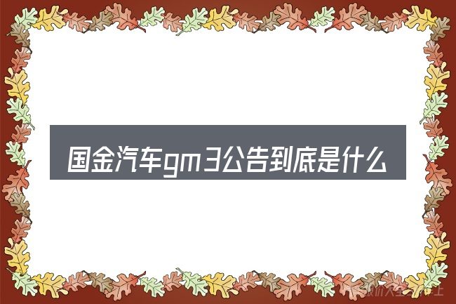 国金汽车gm3公告到底是什么