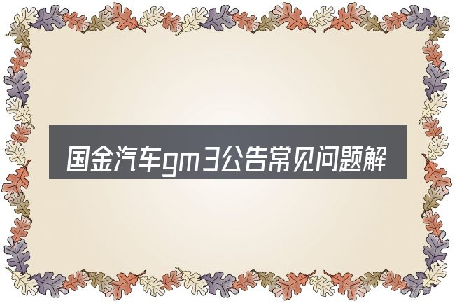 国金汽车gm3公告常见问题解答
