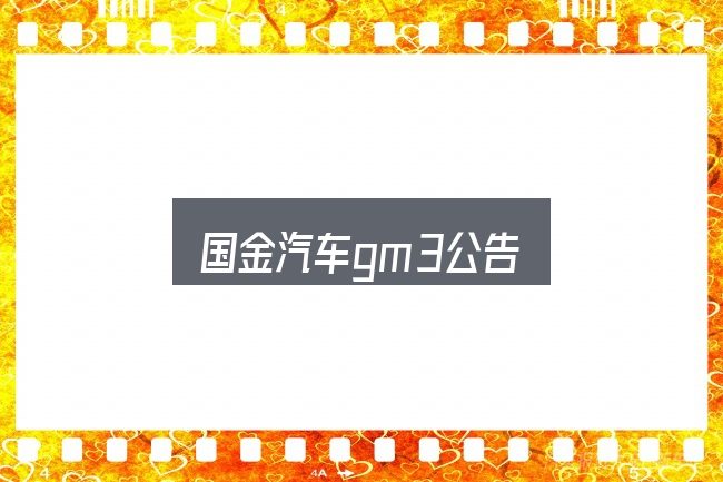 国金汽车gm3公告实用指南：常见误区与实用建议