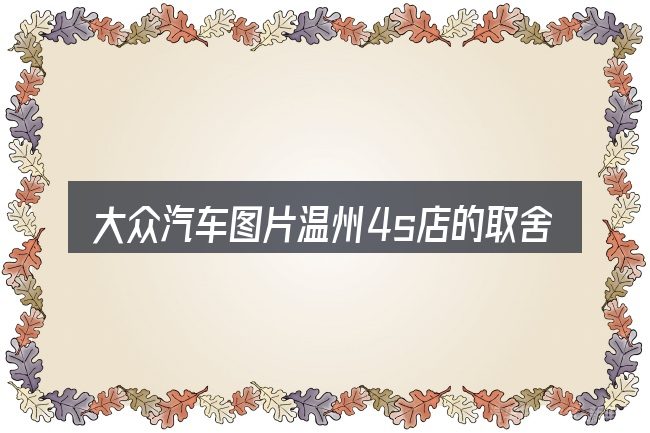 大众汽车图片温州4s店的取舍逻辑