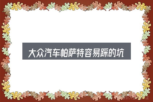 大众汽车帕萨特容易踩的坑