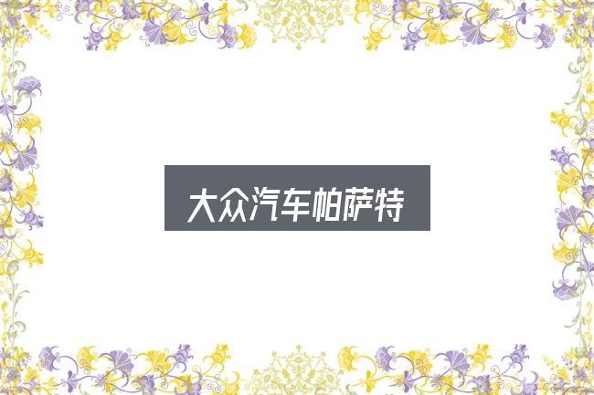 大众汽车帕萨特入门笔记：一段清晰的判断框架