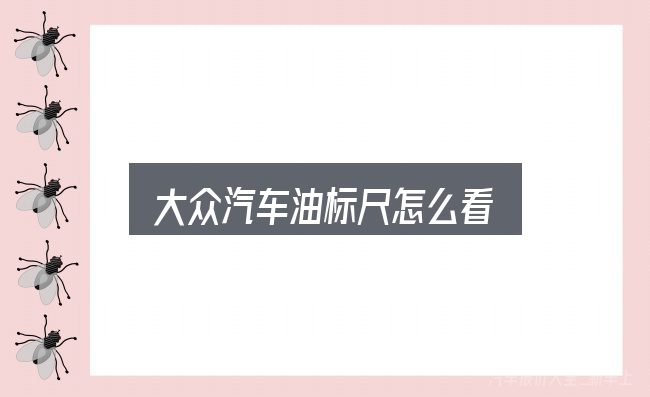 关于「大众汽车油标尺怎么看」，从头梳理一遍逻辑