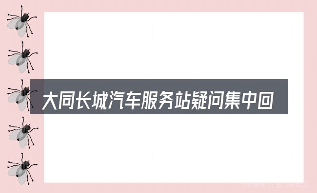 大同长城汽车服务站疑问集中回答