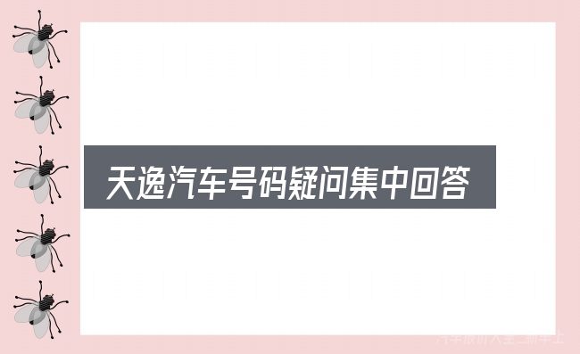 天逸汽车号码疑问集中回答