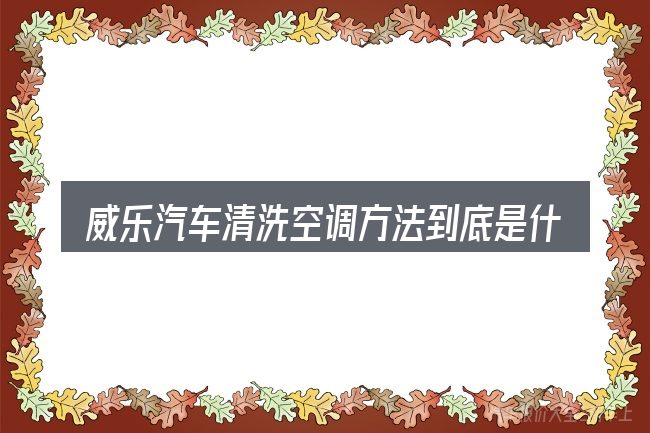 威乐汽车清洗空调方法到底是什么