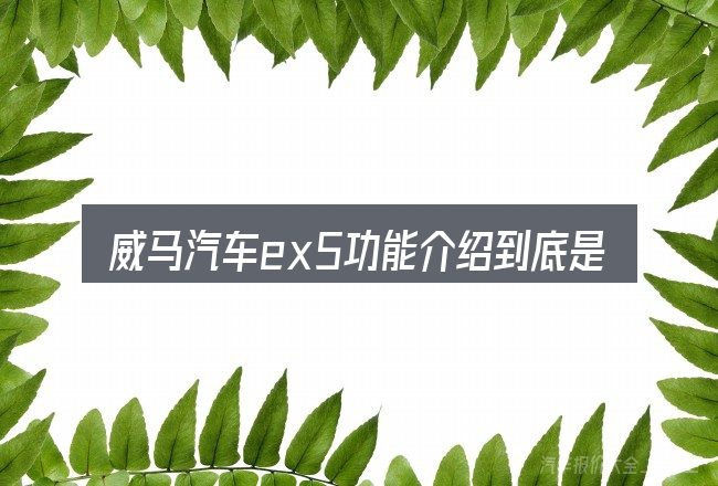 威马汽车ex5功能介绍到底是什么