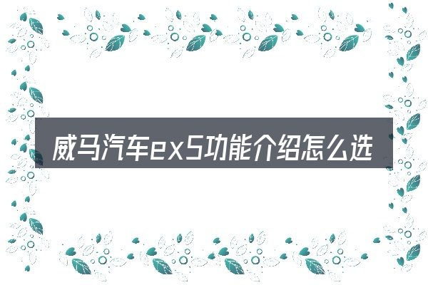 威马汽车ex5功能介绍怎么选才不容易出错
